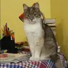 Отзыв от Виктория Зимина